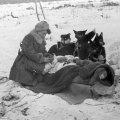Собаки-санитары.1941