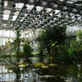 Оранжереи Ботанического сада в Москве