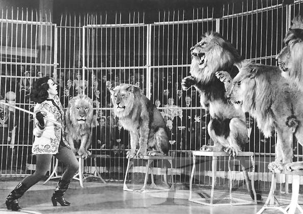 Фото: советская и российская артистка цирка, дрессировщица львов