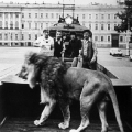 Кадр из фильма с участием льва Кинга. Невероятные приключения итальянцев в России