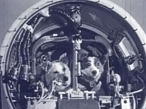 Фото: Супергероические космические собаки Белка и Стрелка