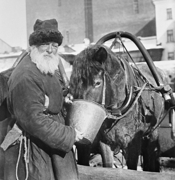 Фото: Извозчик поит лошадь водой